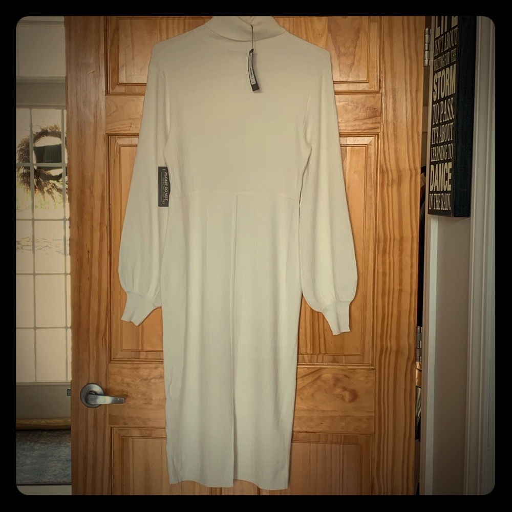 Balloon Slv Dress